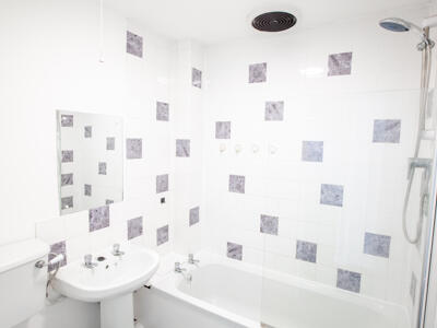 Picture 8